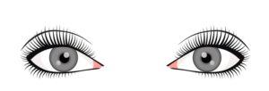 Natural Shape - Ebenezer Eyelash